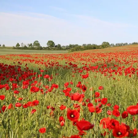 Moltke-villa Teterow