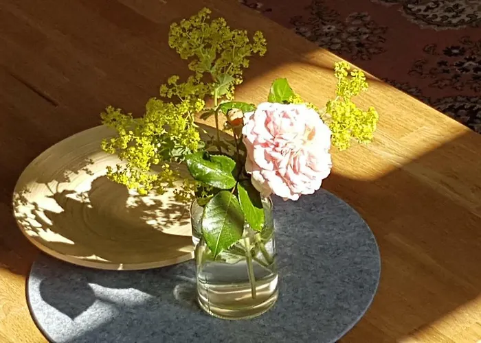 Moltke-villa Lägenhet *