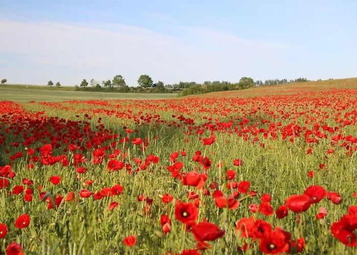 Moltke-villa Teterow