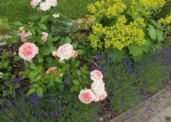 Moltke-villa شقة *