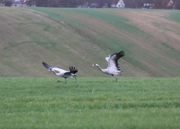 شقة Moltke-villa *